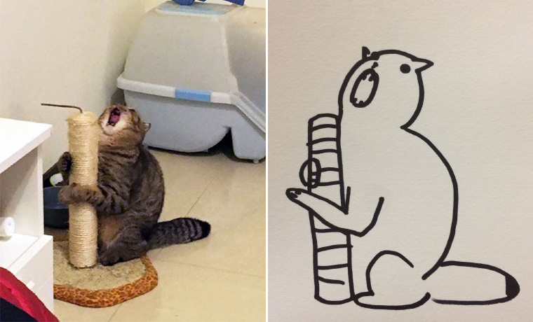 Ultra-Realistic Drawings of Cats