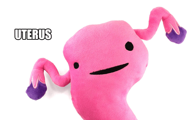 plush organs uterus