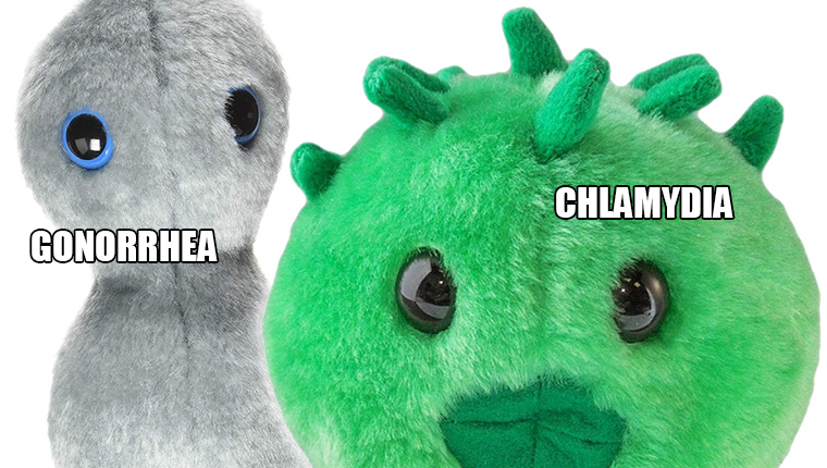 chlamydia plush