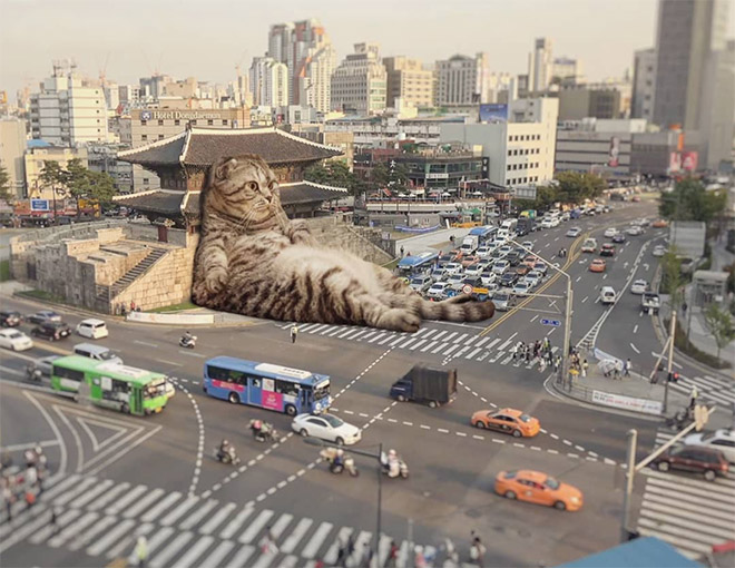 Cat Godzilla (catzilla).