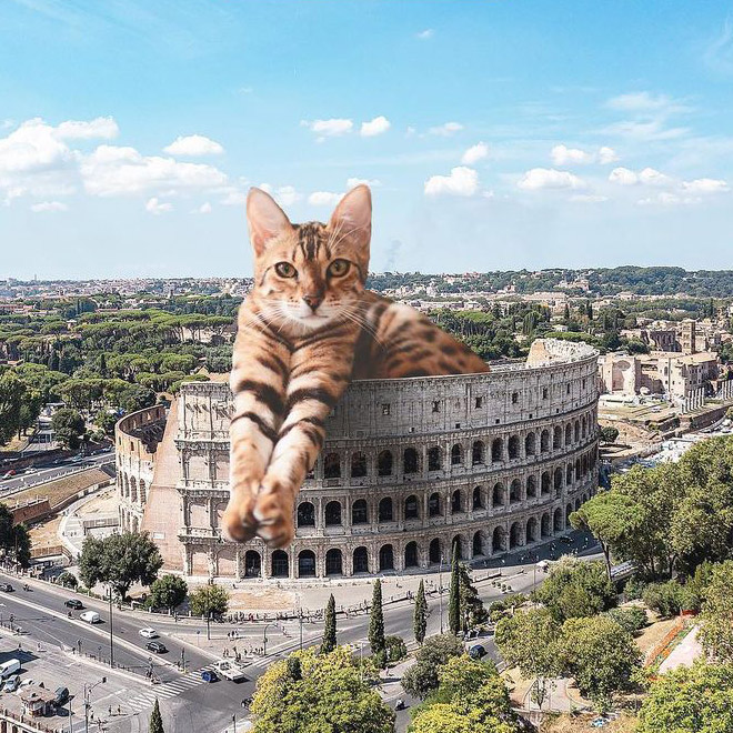 Cat Godzilla (catzilla).