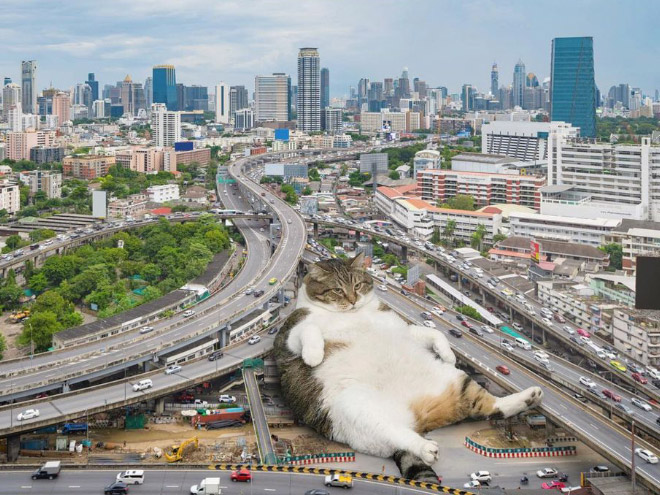 Cat Godzilla (catzilla).