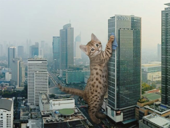 Cat Godzilla (catzilla).