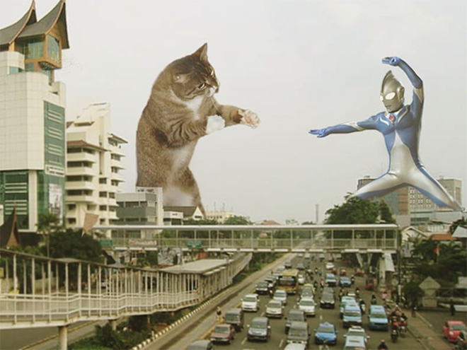 Cat Godzilla (catzilla).