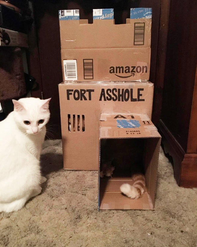 Fort a-hole.