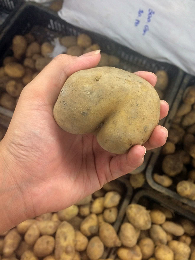 Seductive potato butt.