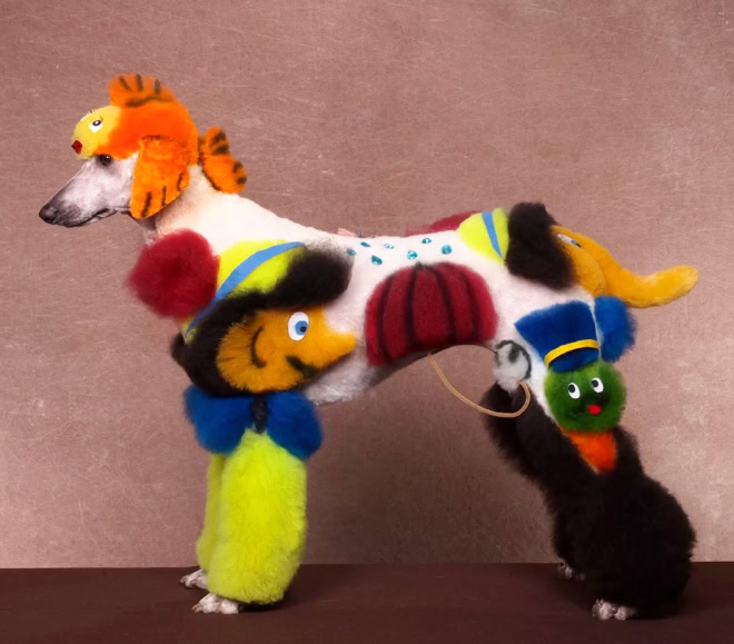 Weird and crazy dog grooming.