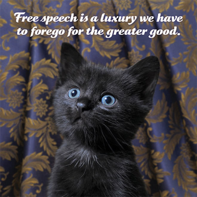 Social justice kitten.